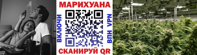 Конопля OG Kush  Купить  Тихорецк 
